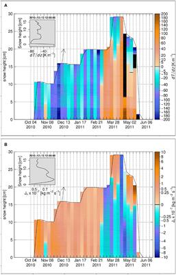 The Impact of Diffusive Water Vapor Transport on Snow Profiles in Deep and Shallow Snow Covers and on Sea Ice